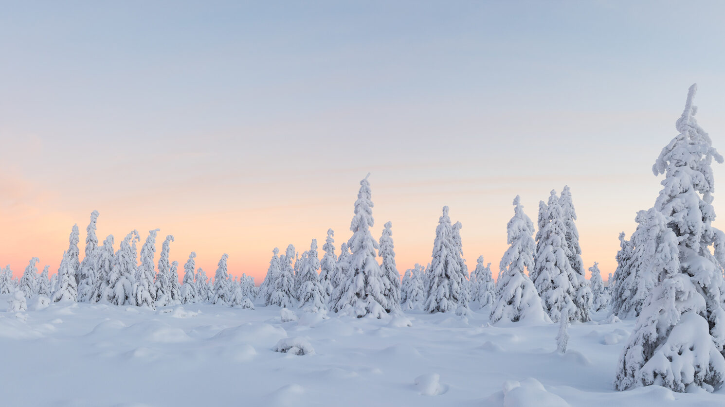 極寒エリアを制するカナダグースの実力と性能を活かすメンテナンス